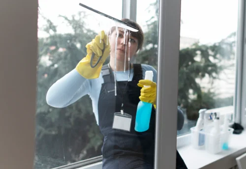 Nettoyage de vitres intérieures et extérieures à Écharcon